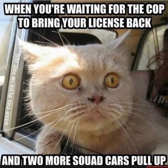 Meet your Posher, Mando - Picture 1 of 1